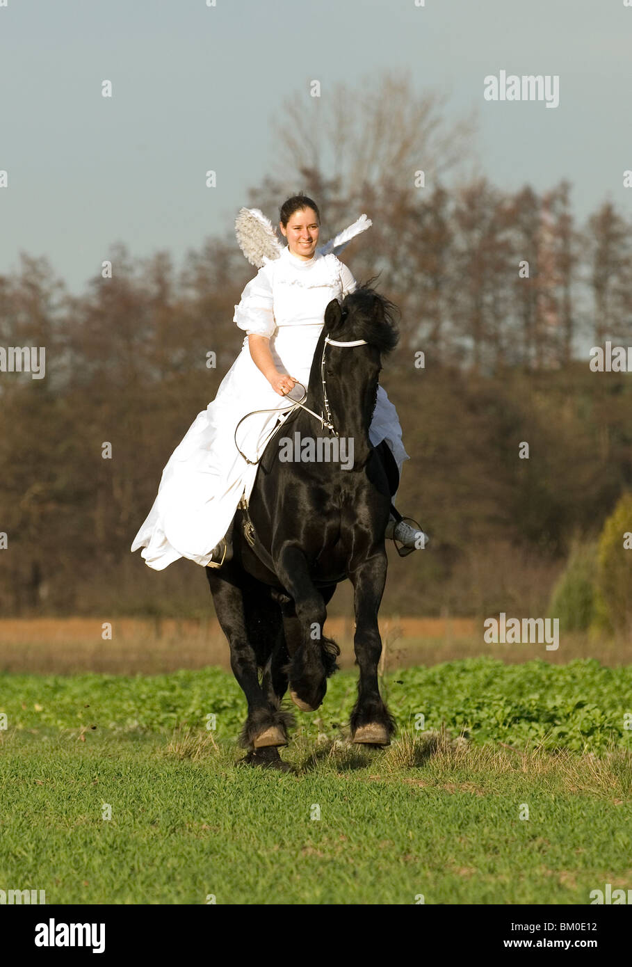 angel and friesian horse Stock Photo Alamy