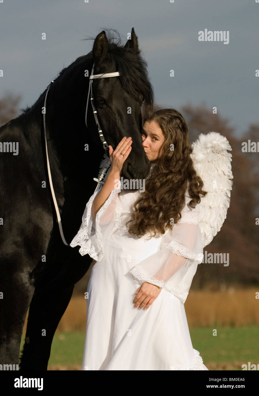 angel and friesian horse Stock Photo Alamy