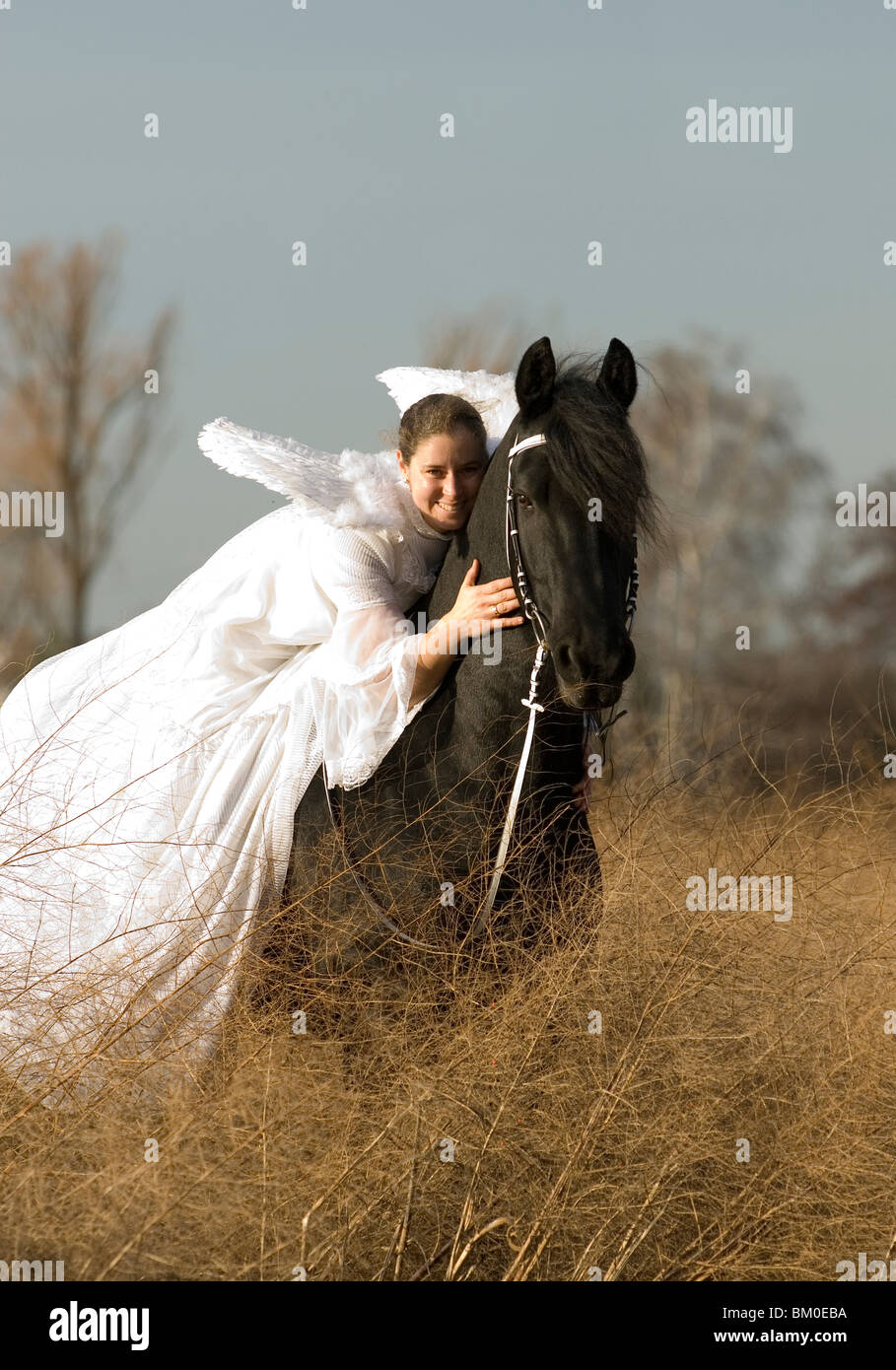 angel and friesian horse Stock Photo Alamy