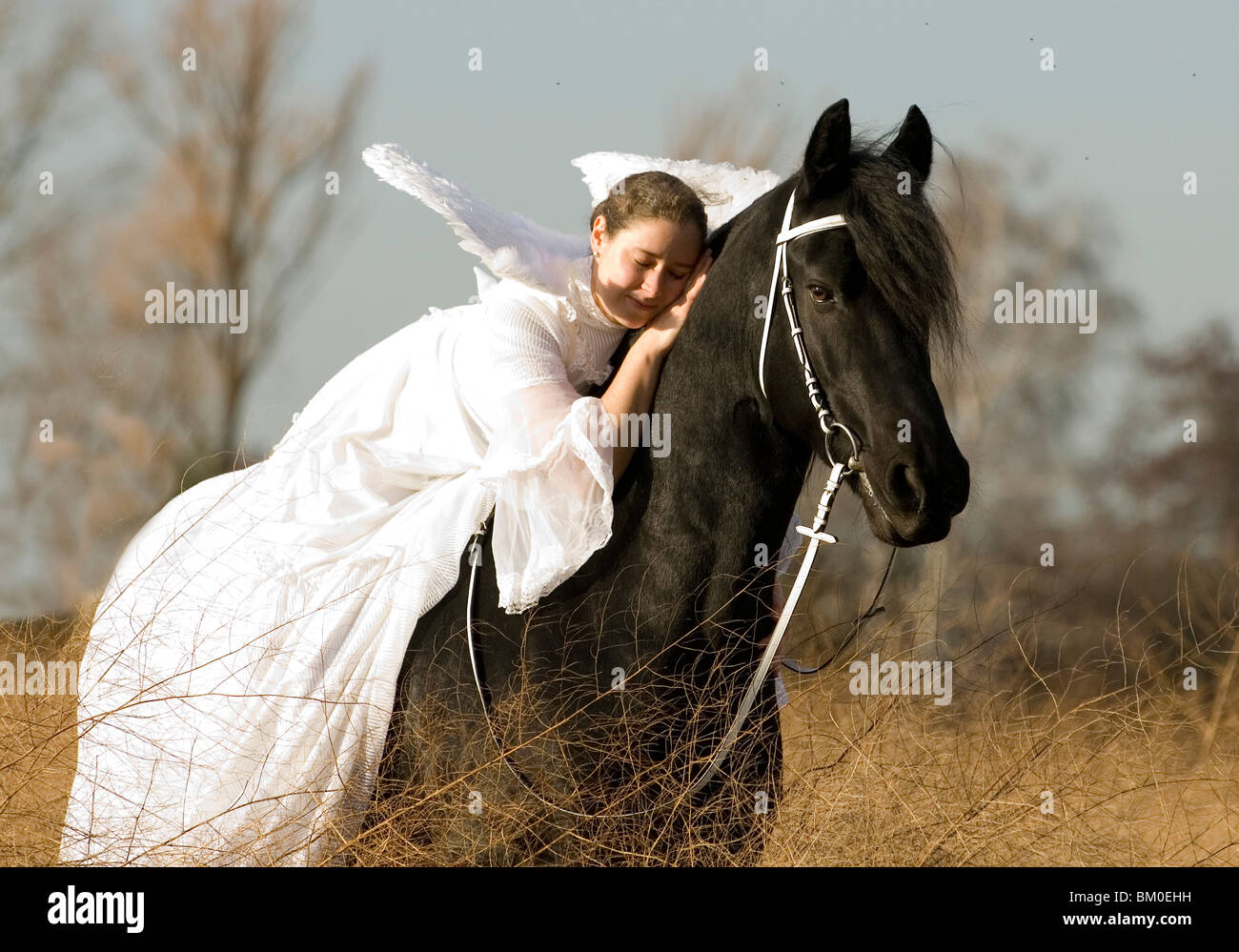 angel and friesian horse Stock Photo Alamy