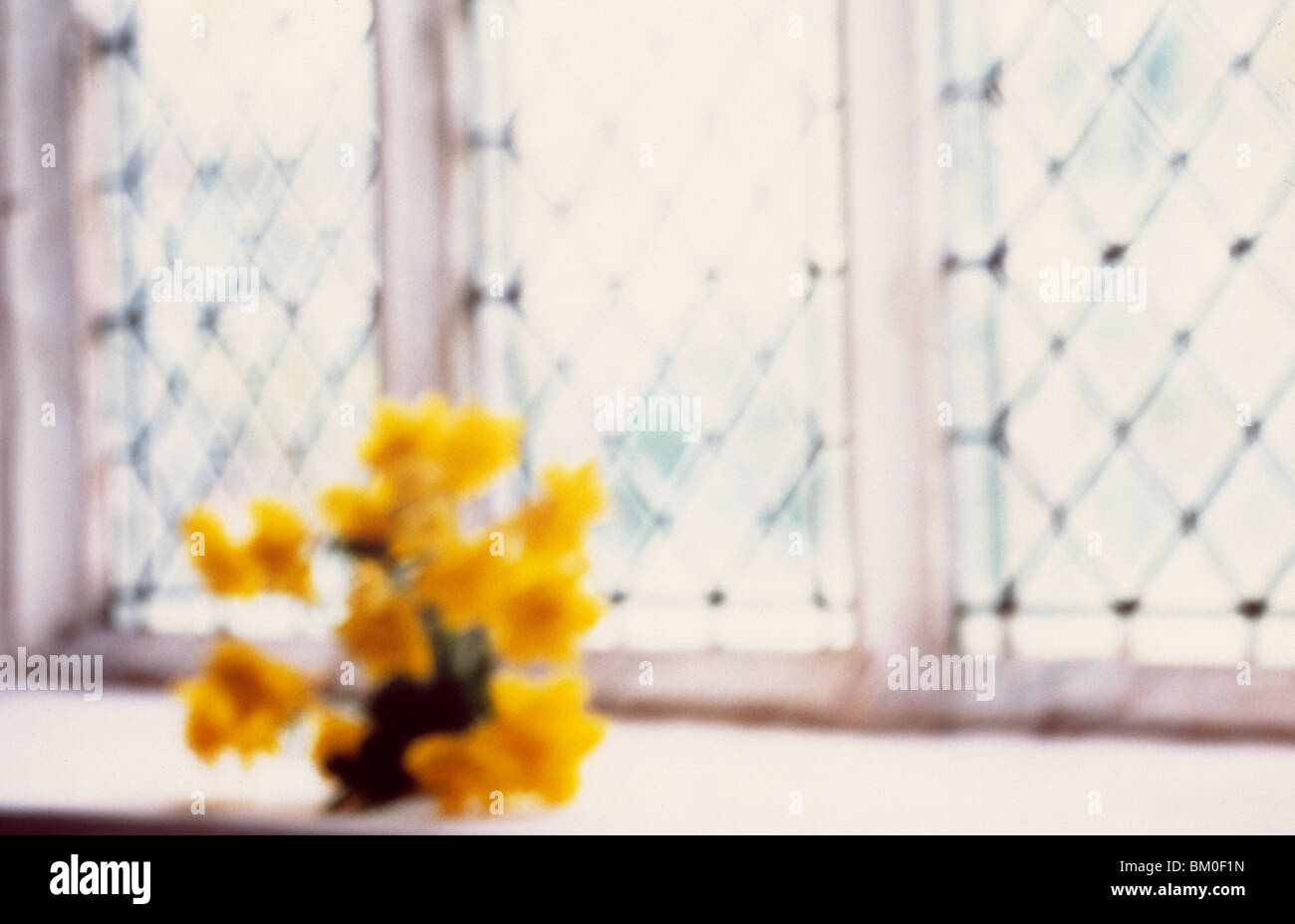 Flower pot on a window sill Stock Photo - Alamy
