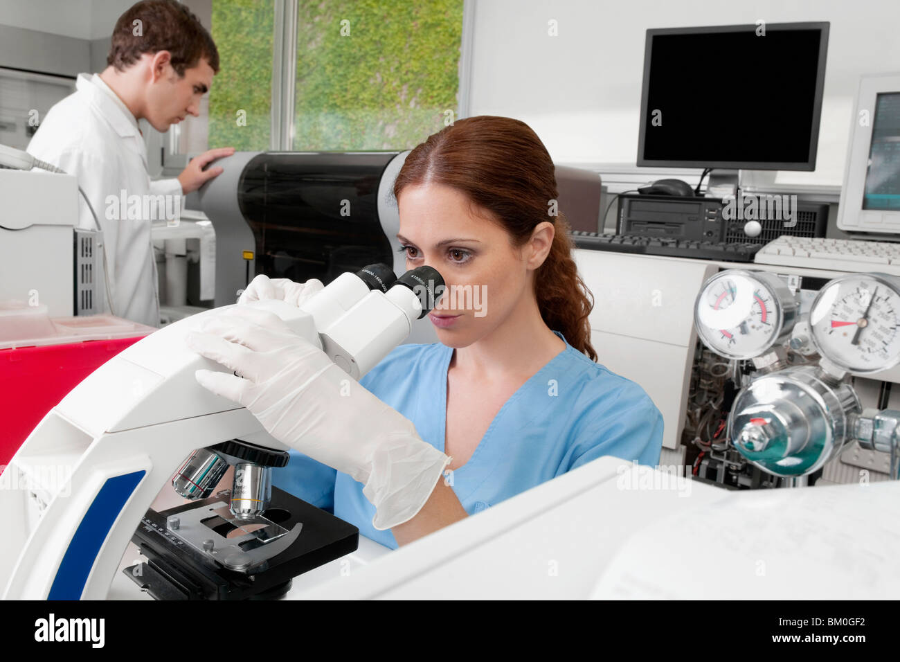 Female lab technician analyzing a sample through a microscope Stock ...