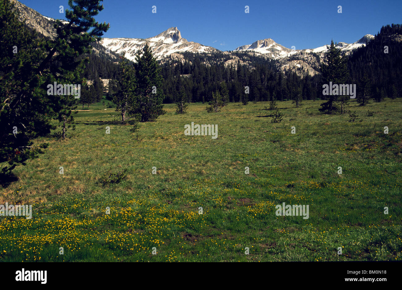 Inyo national forest hi-res stock photography and images - Alamy
