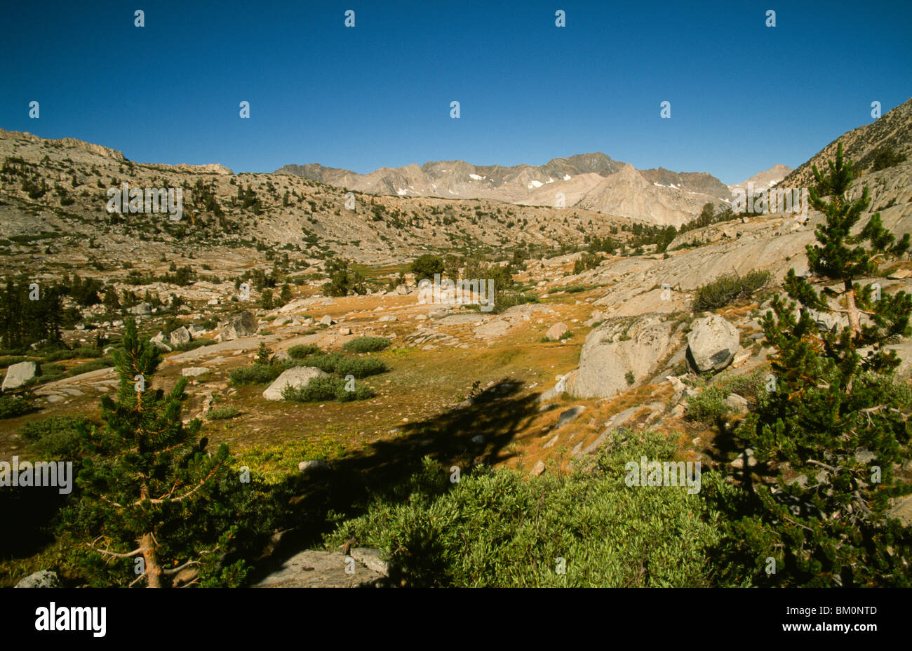 Rocks on a landscape, Dusy Basin, Kings Canyon National Park, California, USA Stock Photo