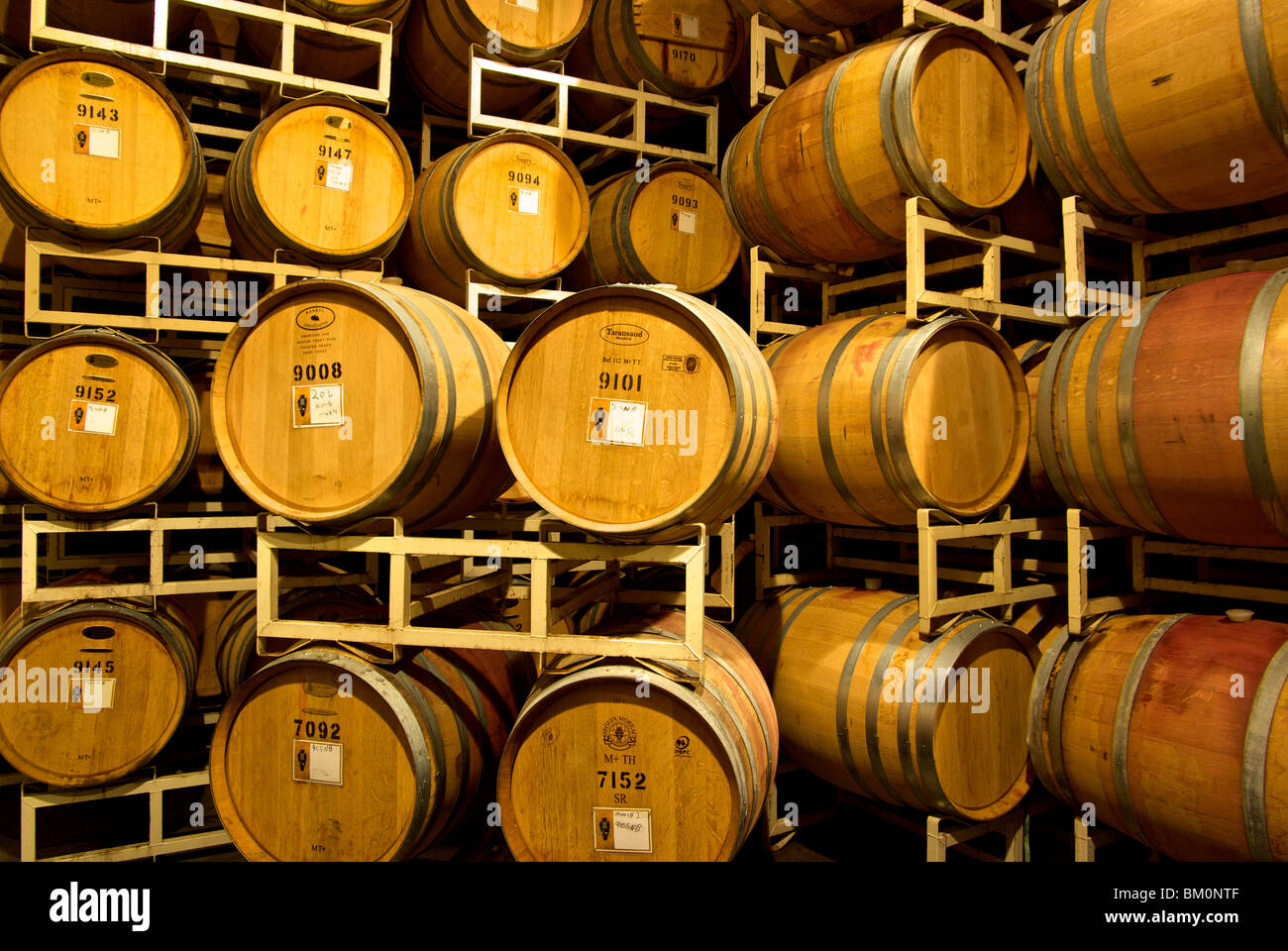 Wines barrel aging in American and French oak barrels in NkMip winery