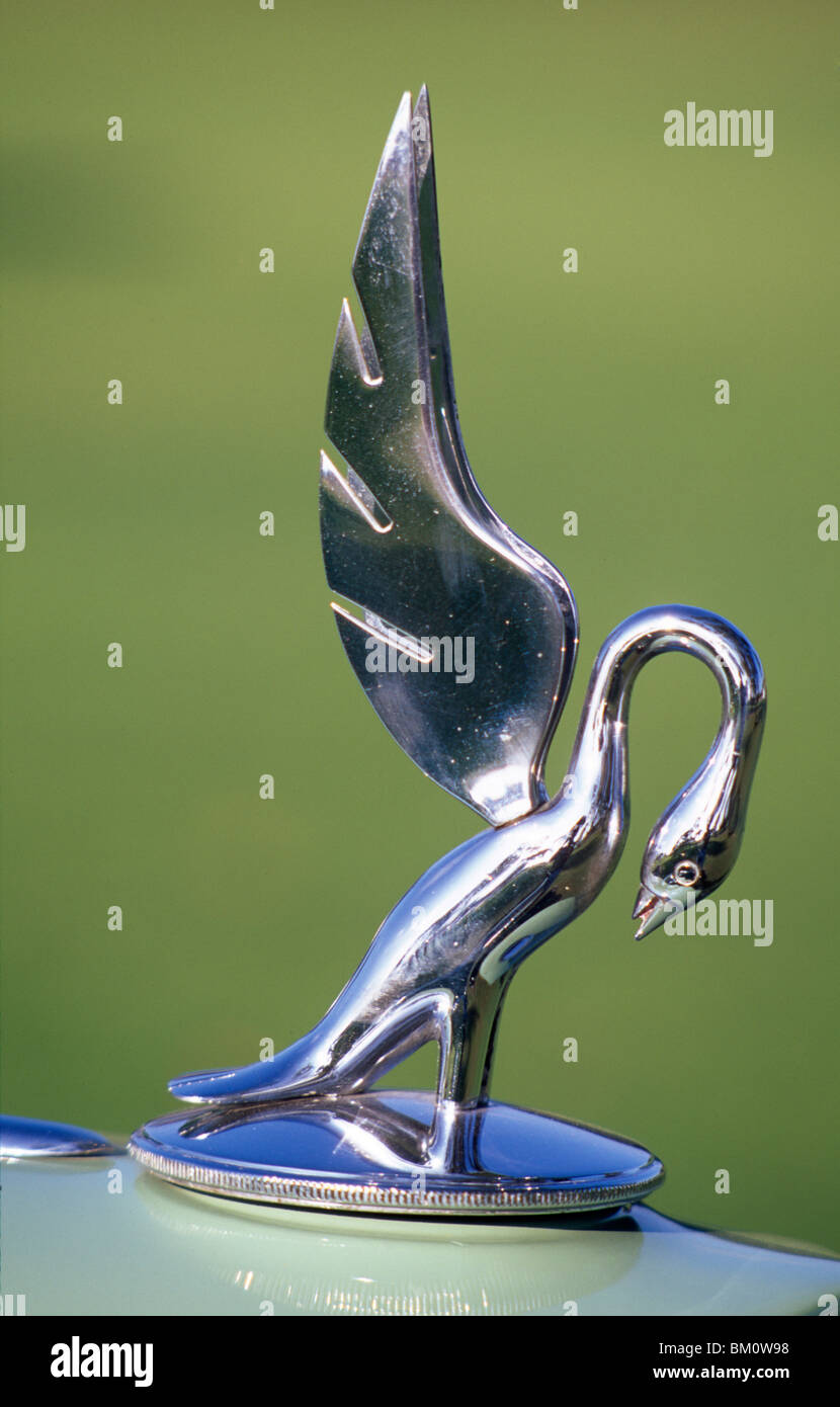 Hood ornament of a Packard car Stock Photo Alamy