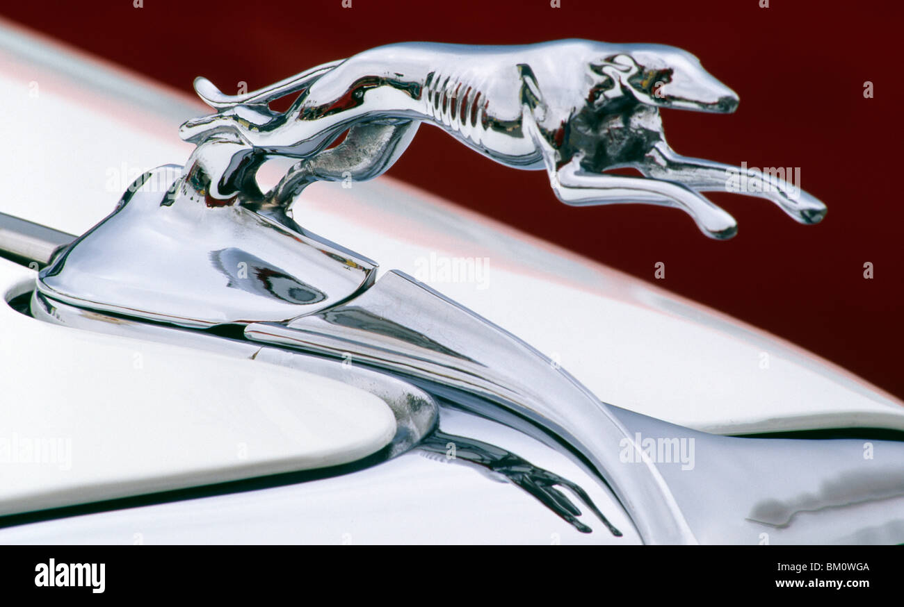 Hood ornament on a 1934 Ford Cabriolet car Stock Photo Alamy