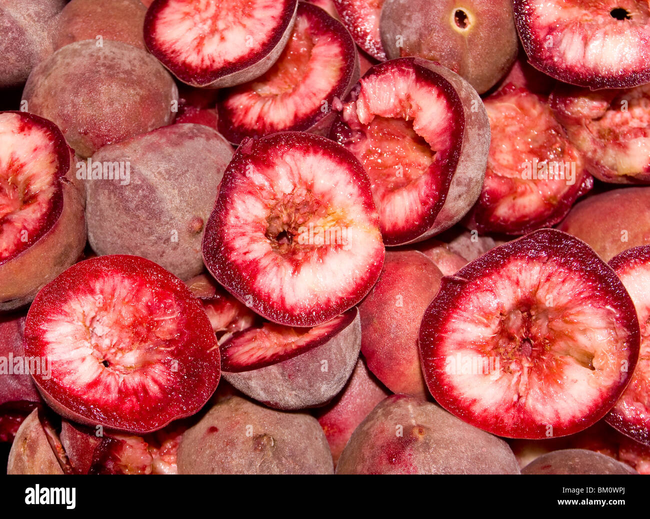 Blackboy Peaches (Prunus persica) a tasty peach that makes excellent