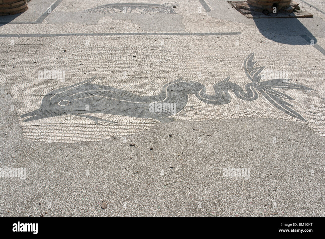 Ostia Antica. Mosaic in the Piazzale delle Corporazioni showing a dolphin with an elaborated tail Stock Photo
