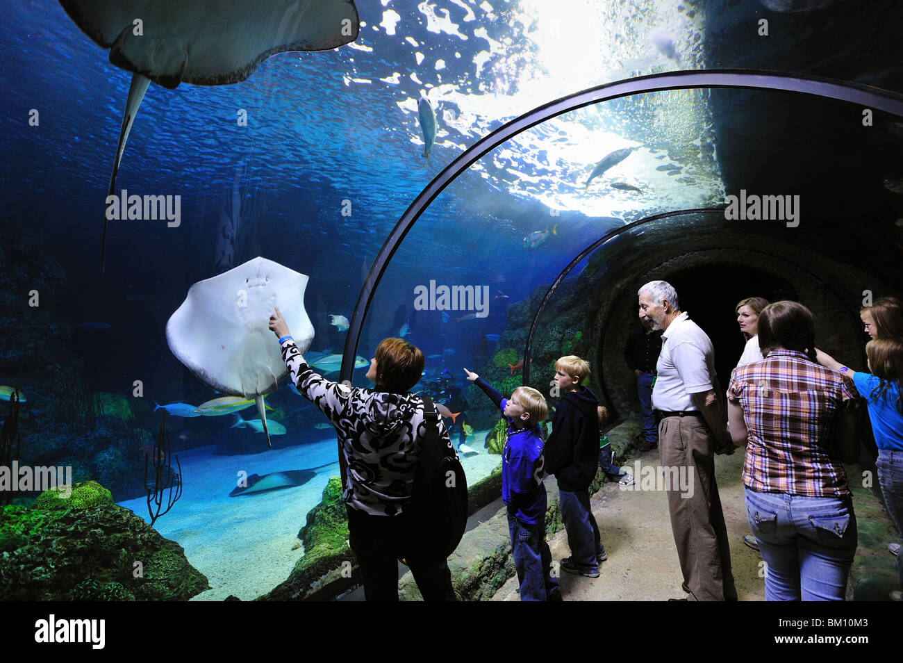 Aquarium hires stock photography and images Alamy