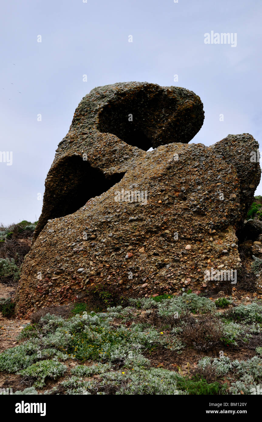 Conglomerate outcrop on California coast. USA. Stock Photo