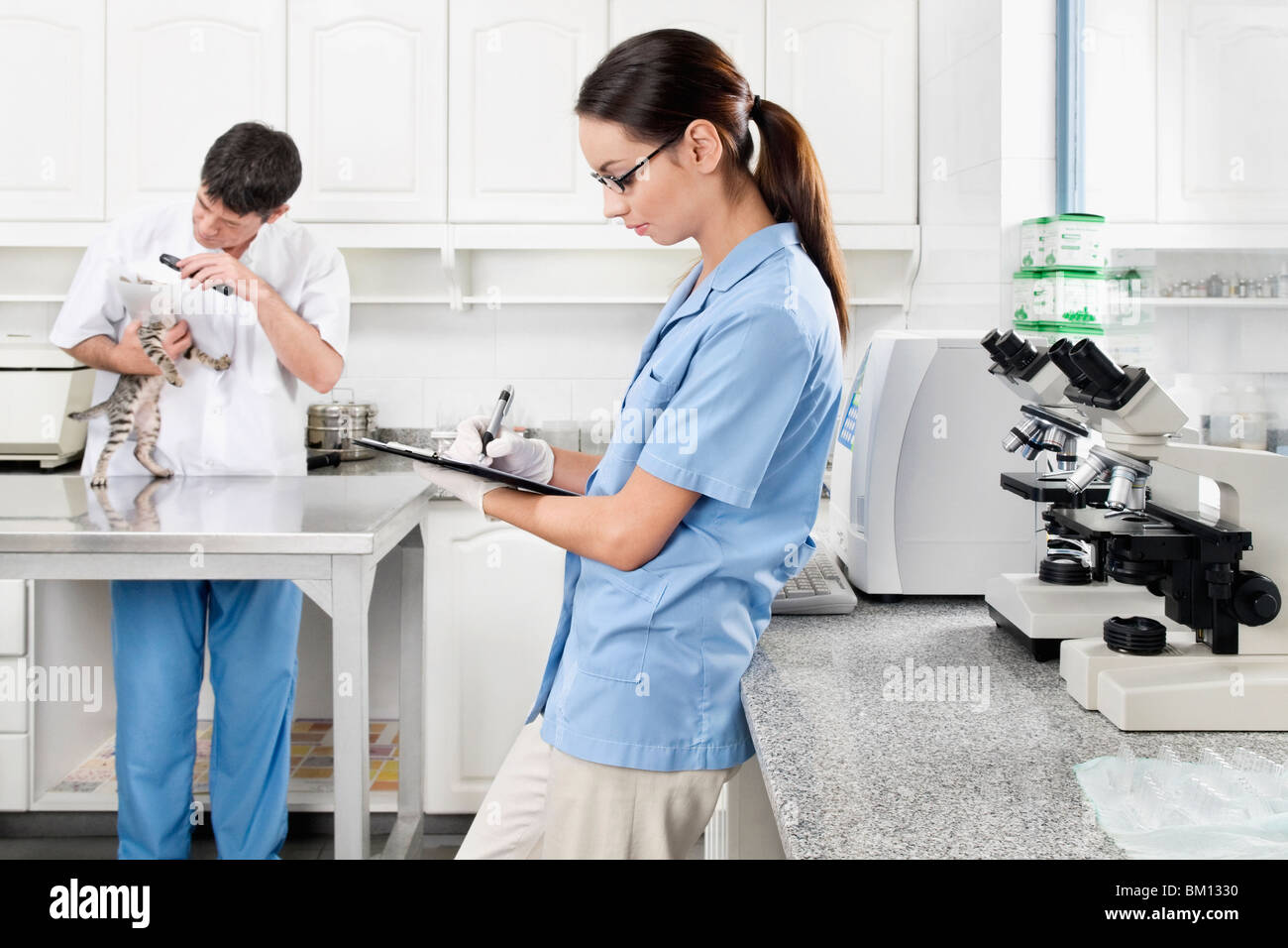 Male vet examining a cat while female vet writing prescription Stock