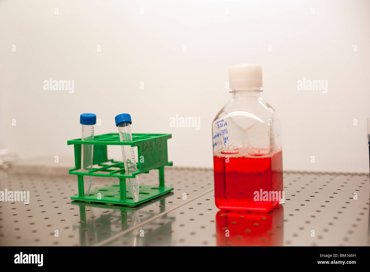 Two cryogenic vials in a rack next to a bottle of red cell medium Stock Photo
