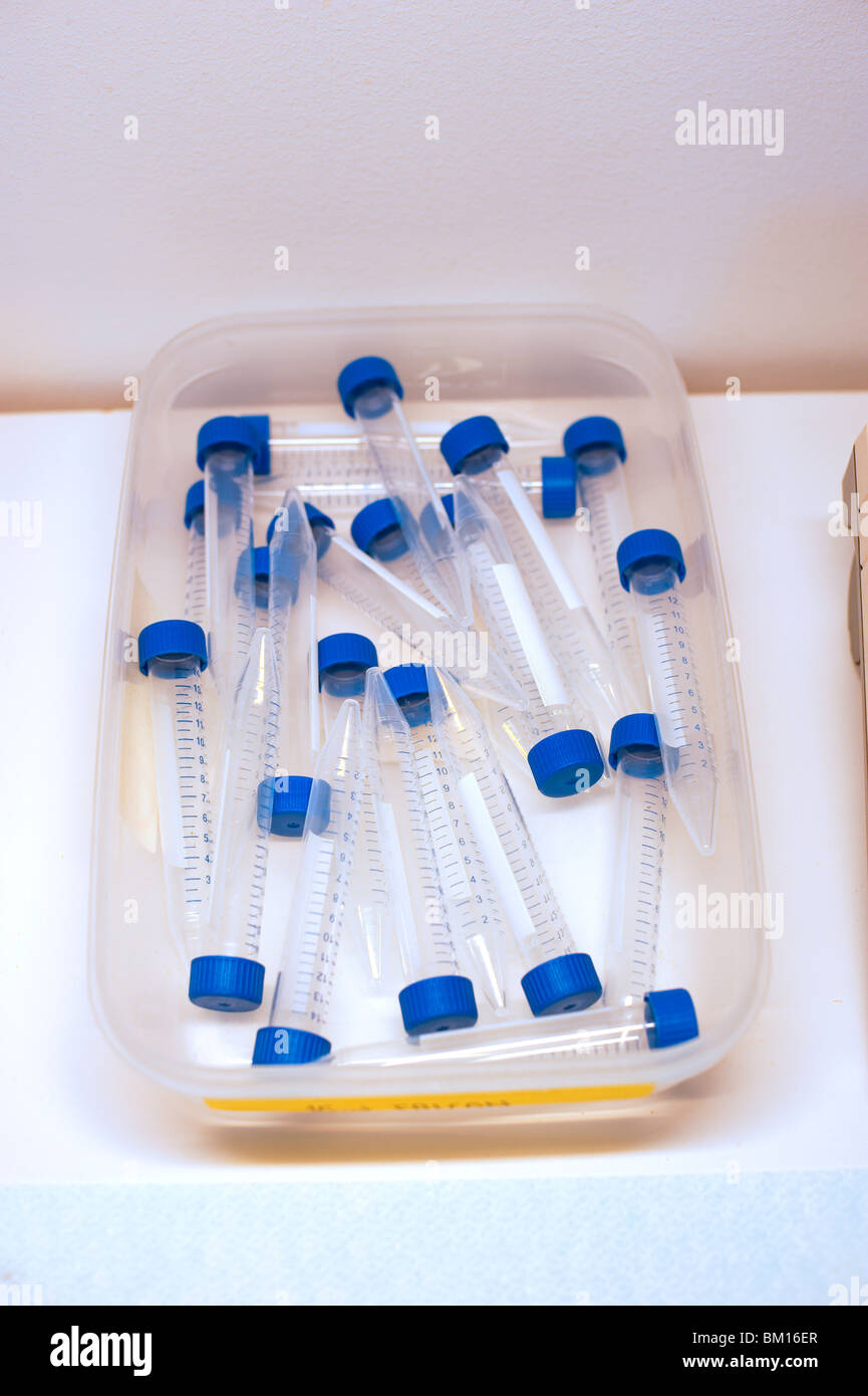 Cryogenic vials, centrifuge cell tubes Stock Photo