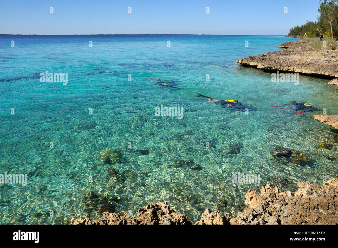 Snorkeling, Baia de Cochinos, Cienaga de Zapata National Park, Cuba, West Indies, Central America Stock Photo