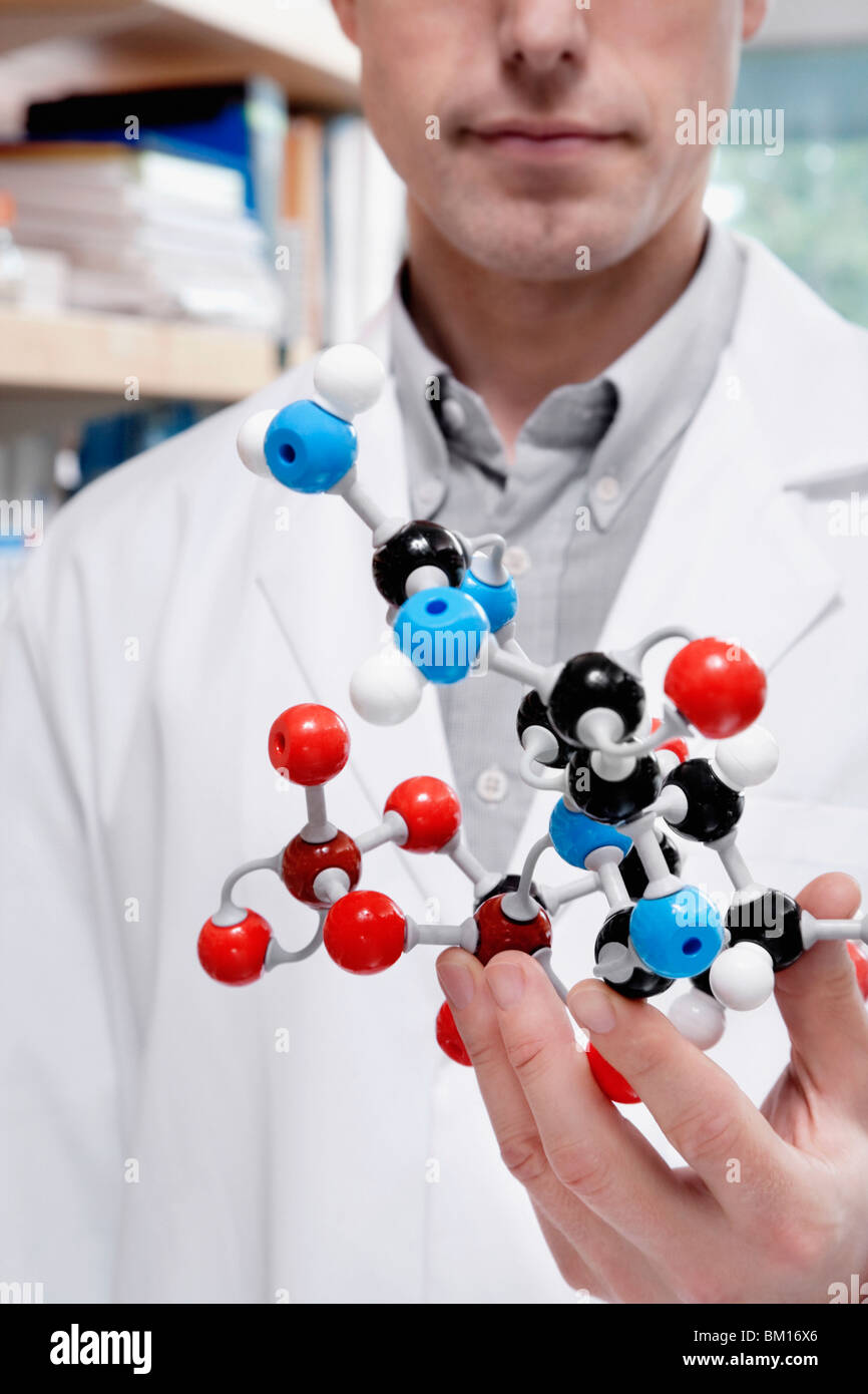 Doctor holding a molecular model in a laboratory hires stock photography and images Alamy