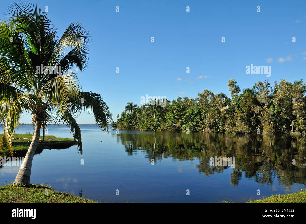 Guamà, Cienaga de Zapata National Park, Cuba, West Indies, Central America Stock Photo