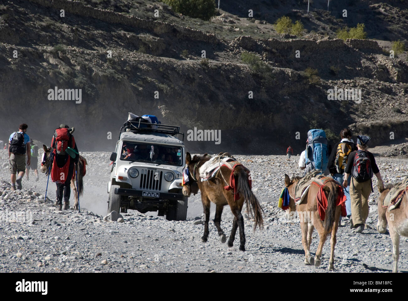 Donkeys, Trekkers and Jeep, Kali Gandaki river, Jomson, Annapurna Circuit, Nepal, Stock Photo