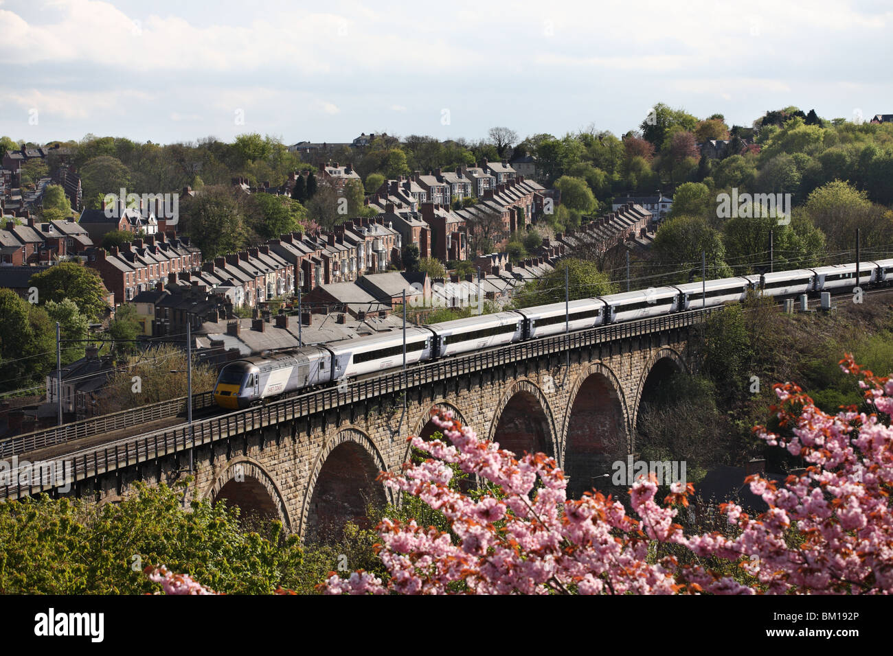 A high speed diesel train of the East Coast company seen crossing the viaduct at Durham, England, UK Stock Photo
