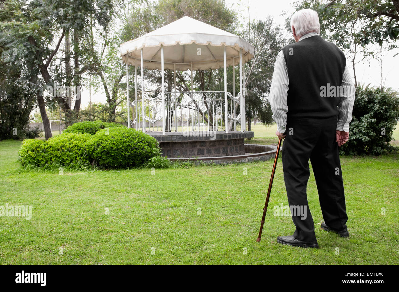 Rear view of a man standing with a cane in a garden Stock Photo - Alamy