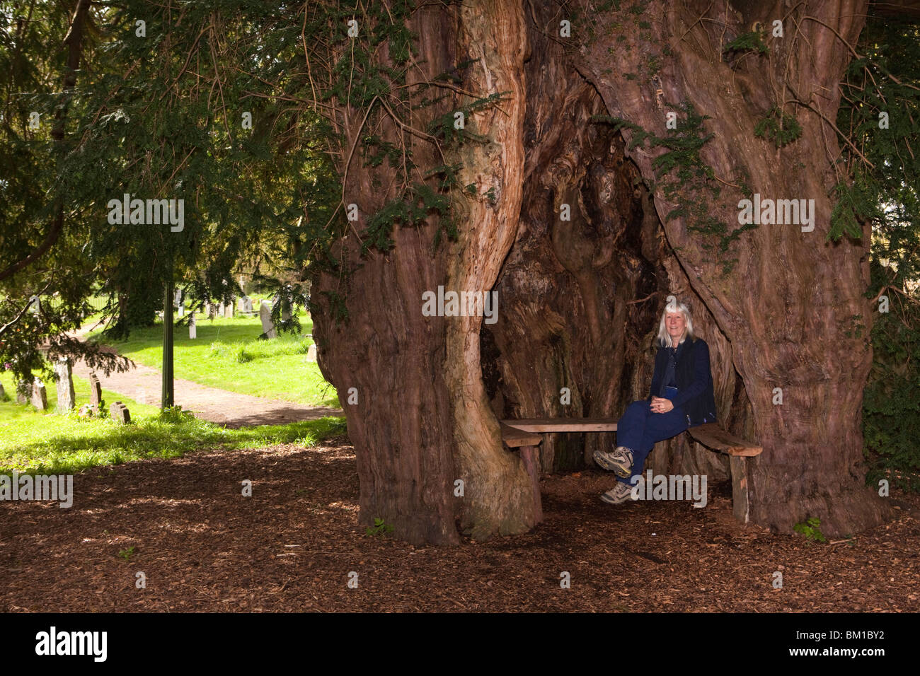 Visiting the churchyard hi-res stock photography and images - Alamy