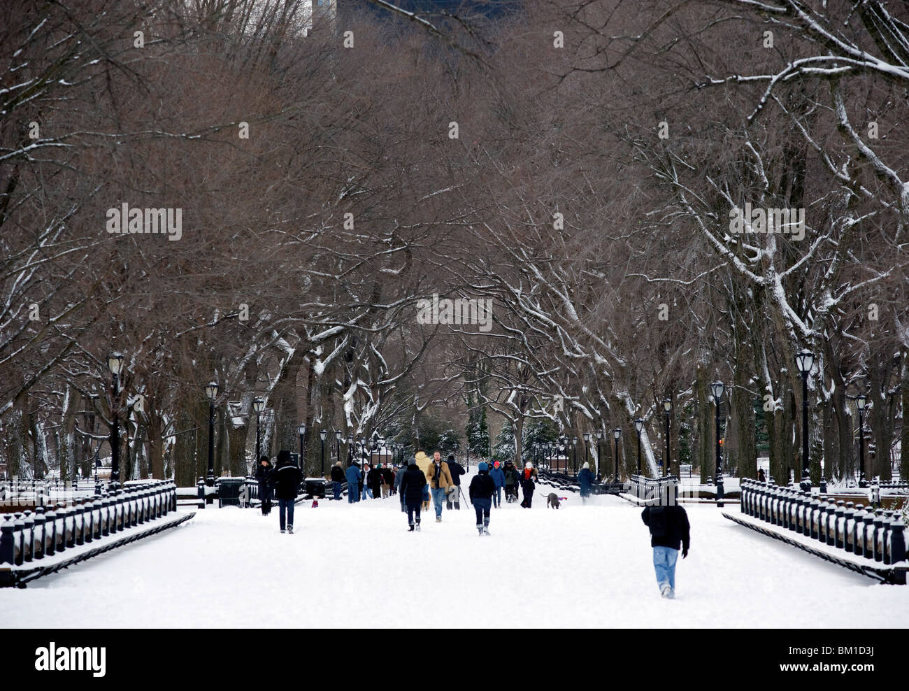 People walking through the mall in Central Park after a snowstorm, New York City, New York State, United States of America Stock Photo