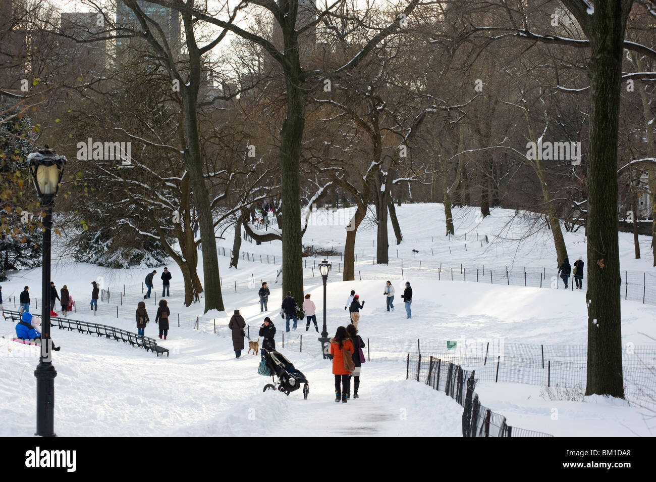 People enjoying Central Park after a snowstorm, New York City, New York ...