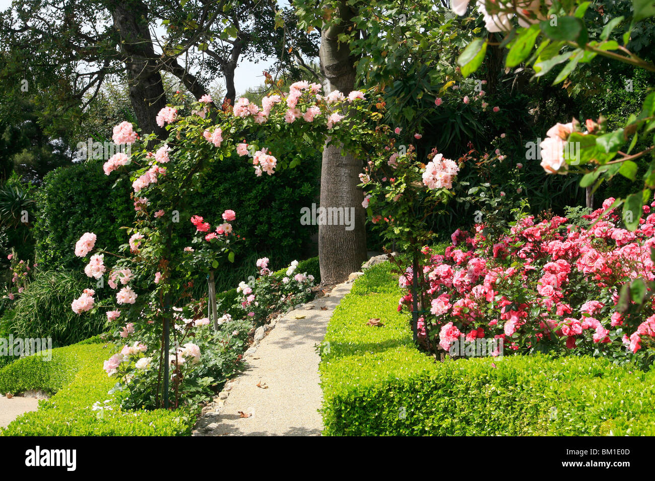 Rose Garden Villa Ephrussi De Rothschild St Jean Cap Ferrat