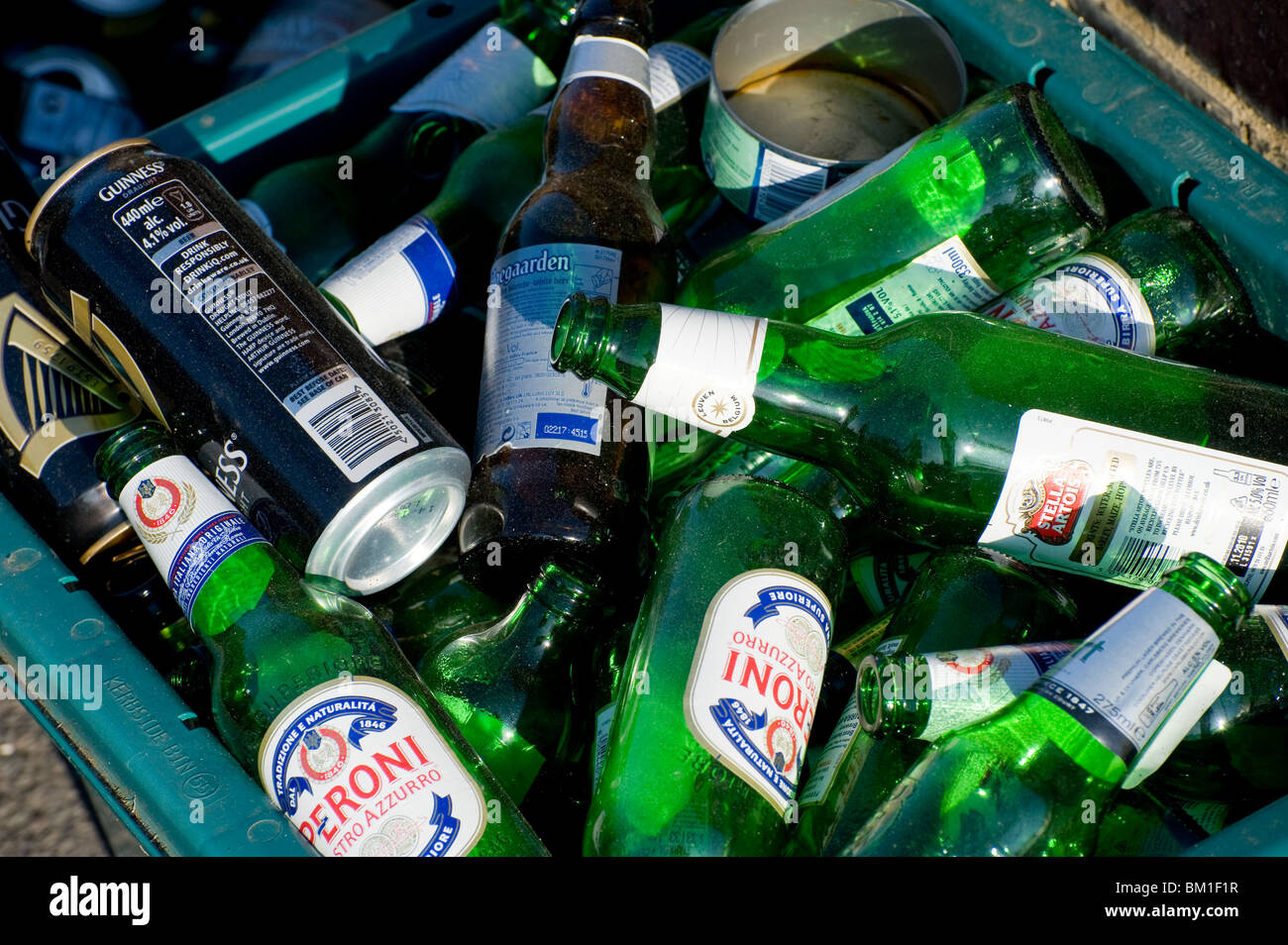 Glass beer bottles awaiting collection in a recycling bin. Stock Photo