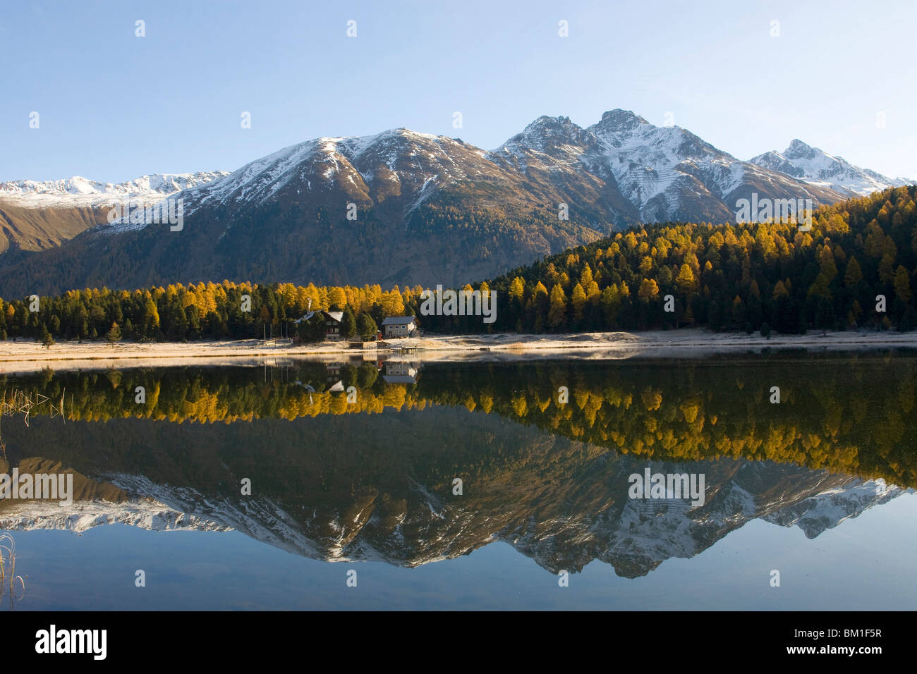 Little lake and pine forest near St. Moritz, Engadina, Switzerland Stock Photo