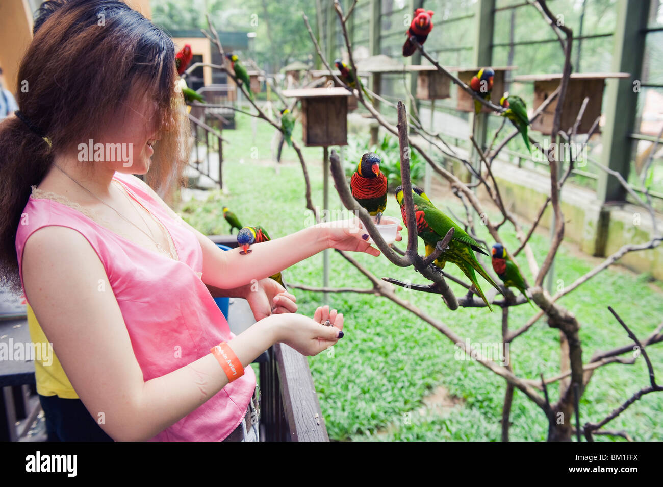 Girl feeding parakeets in World of Parrots, KL Bird Park, Kuala Lumpur, Malaysia, Southeast Asia, Asia Stock Photo