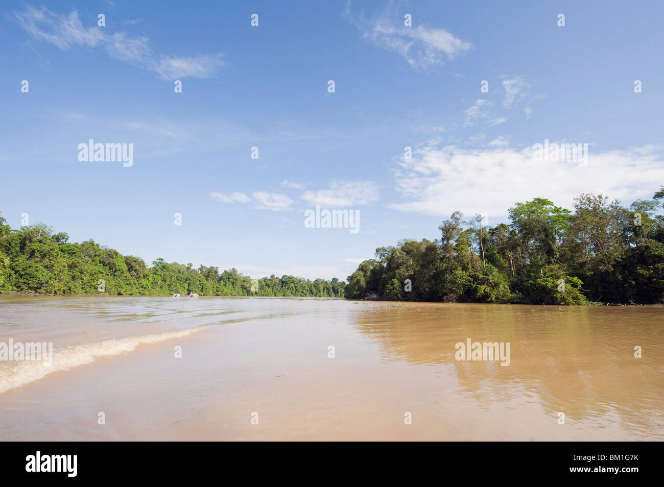 Sungai Kinabatangan River, Sabah, Borneo, Malaysia, Southeast Asia, Asia Stock Photo