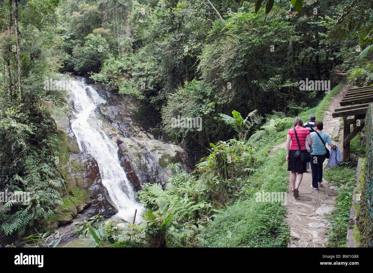Tourists at Robinson Falls, Cameron Highlands, Perak state, Malaysia, Southeast Asia, Asia Stock Photo