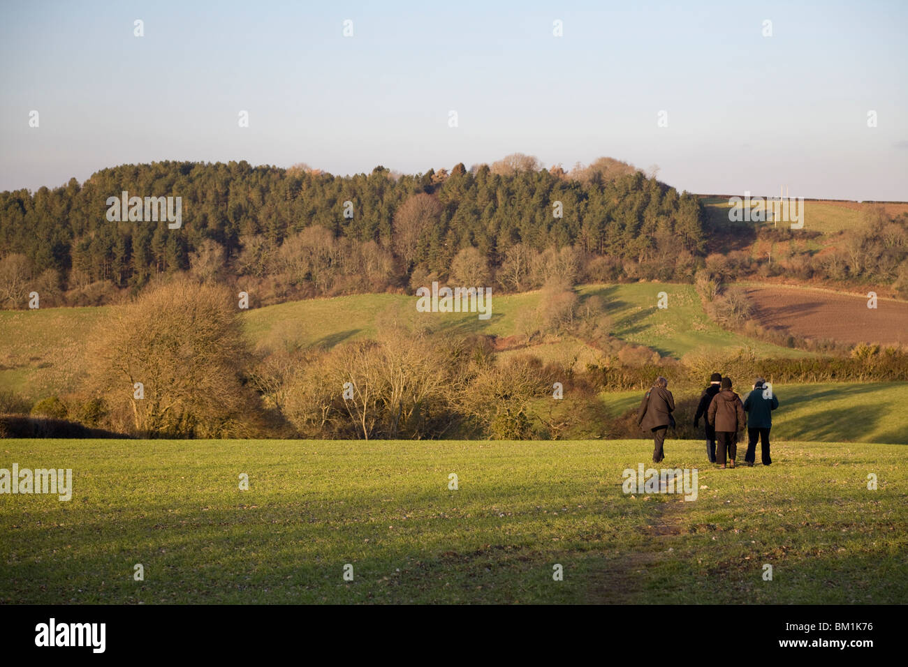 People taking a winter walk across fields near Axmouth, Devon Stock Photo