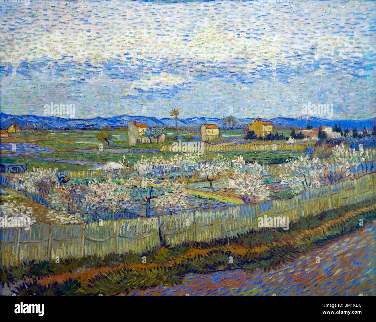 Crau at Arles Peach Trees in Flower painted by Vincent van Gogh 1889 Courtauld Institute Gallery interior Somerset House London Stock Photo