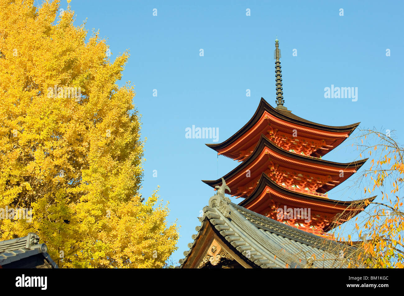 Pagoda and gingko trees, Itsukushima Shrine, UNESCO World Heritage Site, Miyajima Island, Hiroshima prefecture, Japan Stock Photo