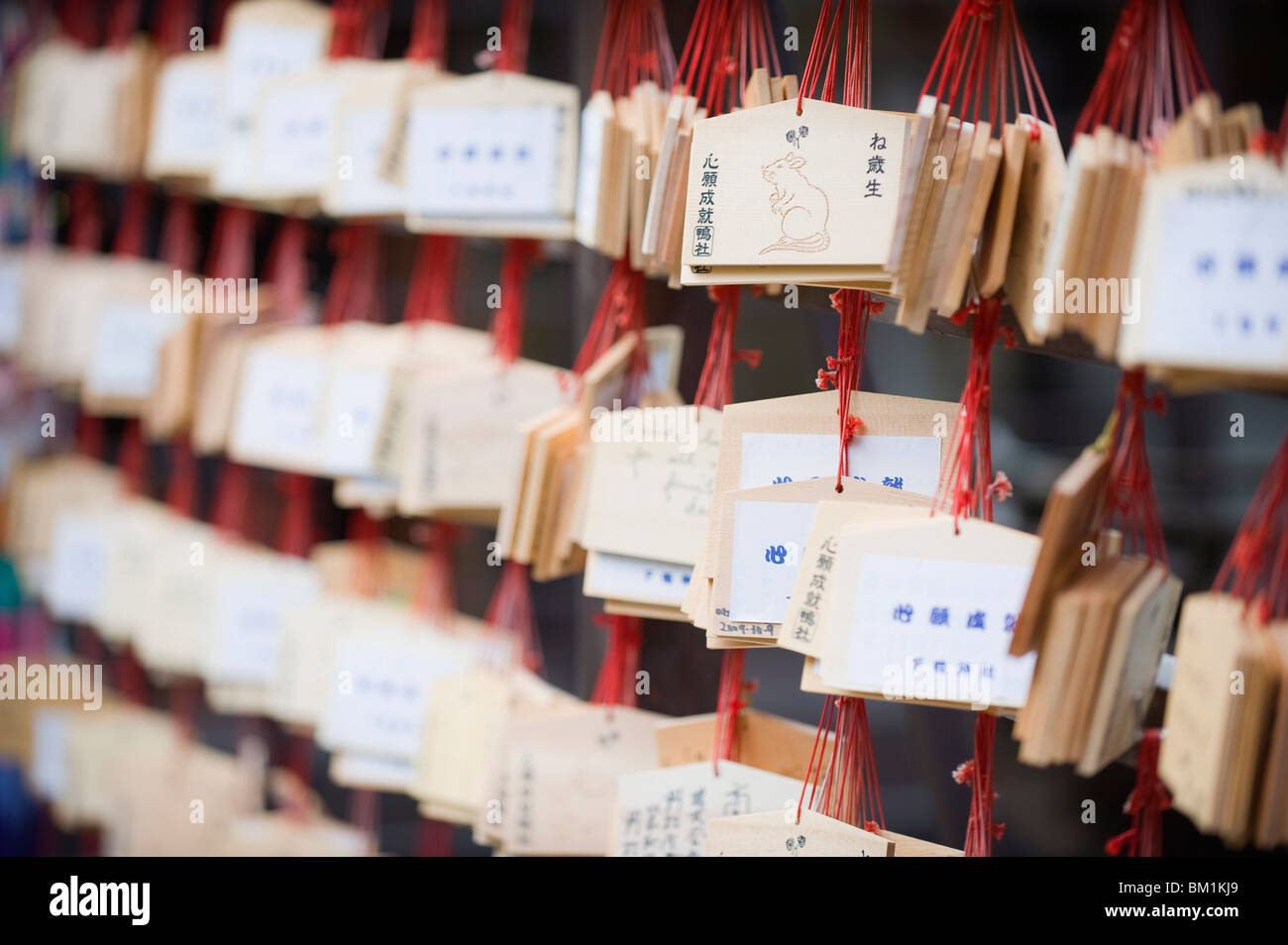 Good luck messages written on wooden prayer tablets, Shimogamo Shrine, Tadasu no Mori, Kyoto, Japan, Asia Stock Photo