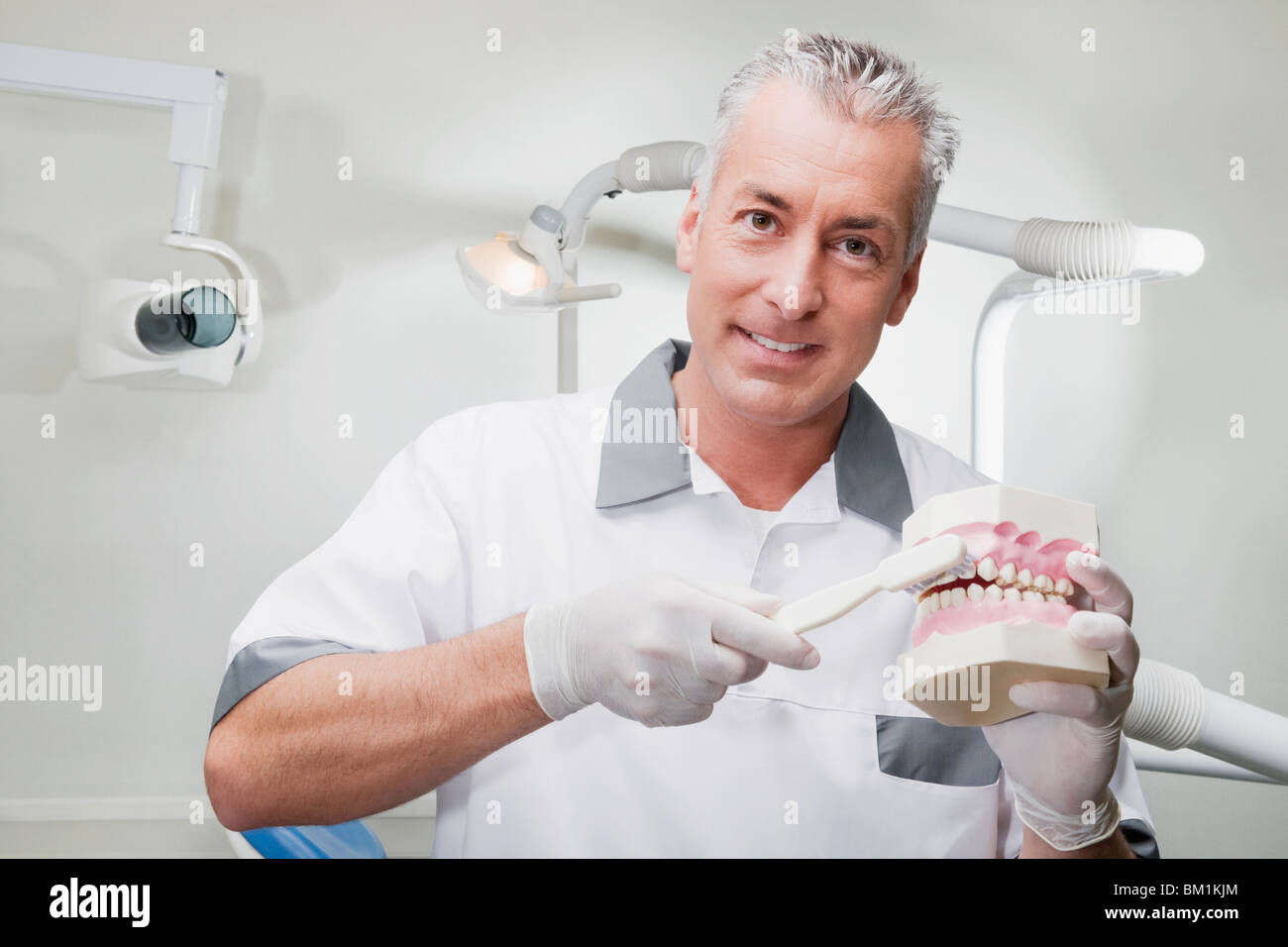 Dentist using a toothbrush on dentures Stock Photo Alamy