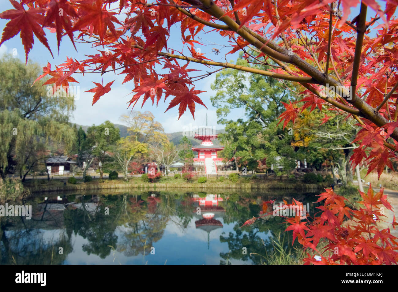 Pagoda on Osawa Pond, Daikaku ji (Daikakuji) Temple, dating from 876, Sagano area, Kyoto, Japan, Asia Stock Photo