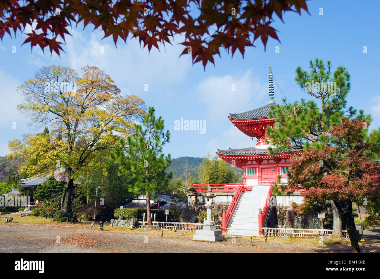 Daikaku ji (Daikakuji) Temple, dating from 876, Sagano area, Kyoto, Japan, Asia Stock Photo