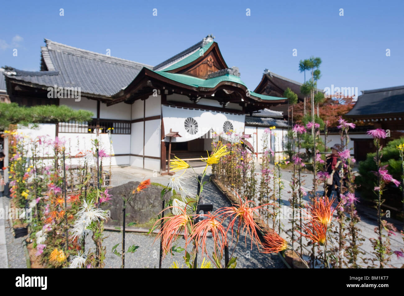 Ikebana flower arrangement, Daikaku ji (Daikakuji) Temple, dating from 876, Sagano area, Kyoto, Japan, Asia Stock Photo