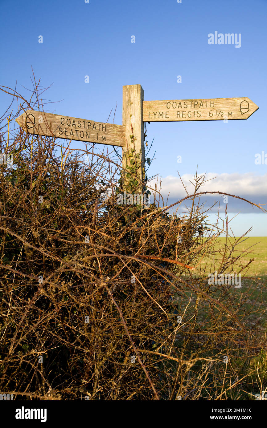 Signpost on the coastal path near Axmouth, Devon Stock Photo