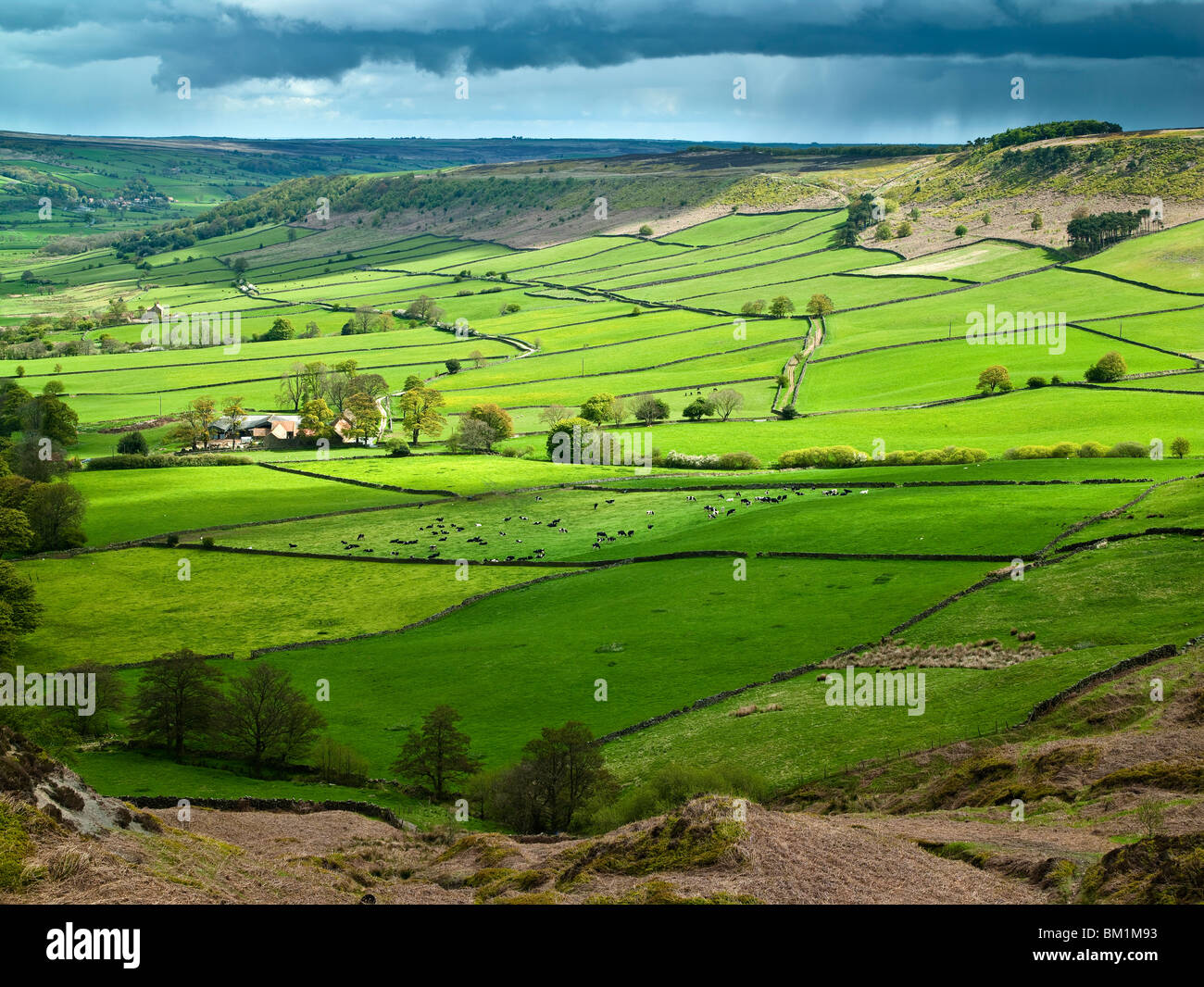 Spring over Little Fryupdale, North York Moors National Park Stock Photo