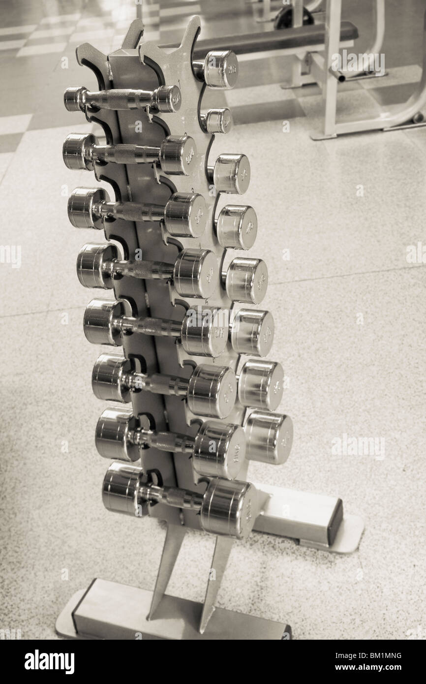 Dumbbells on a rack in a gym Stock Photo