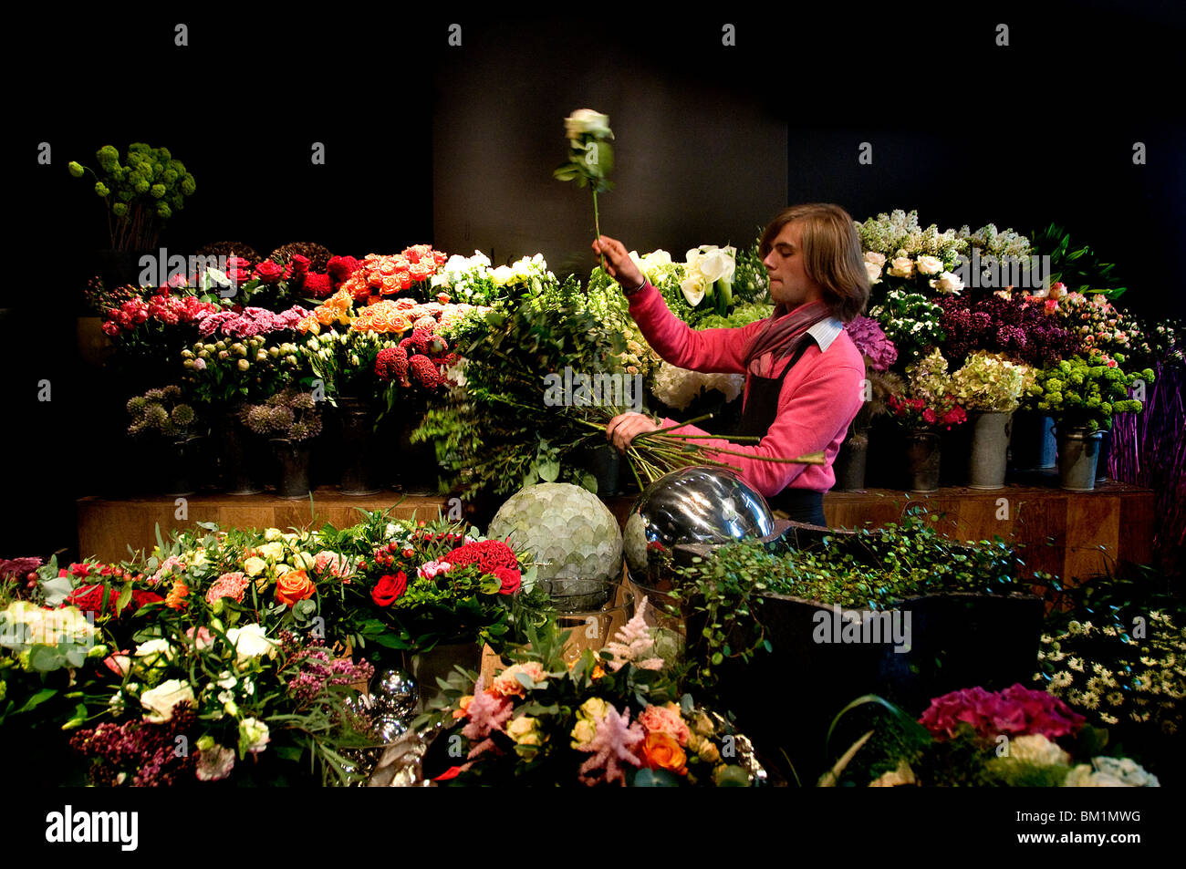 Brussels flower hires stock photography and images Alamy