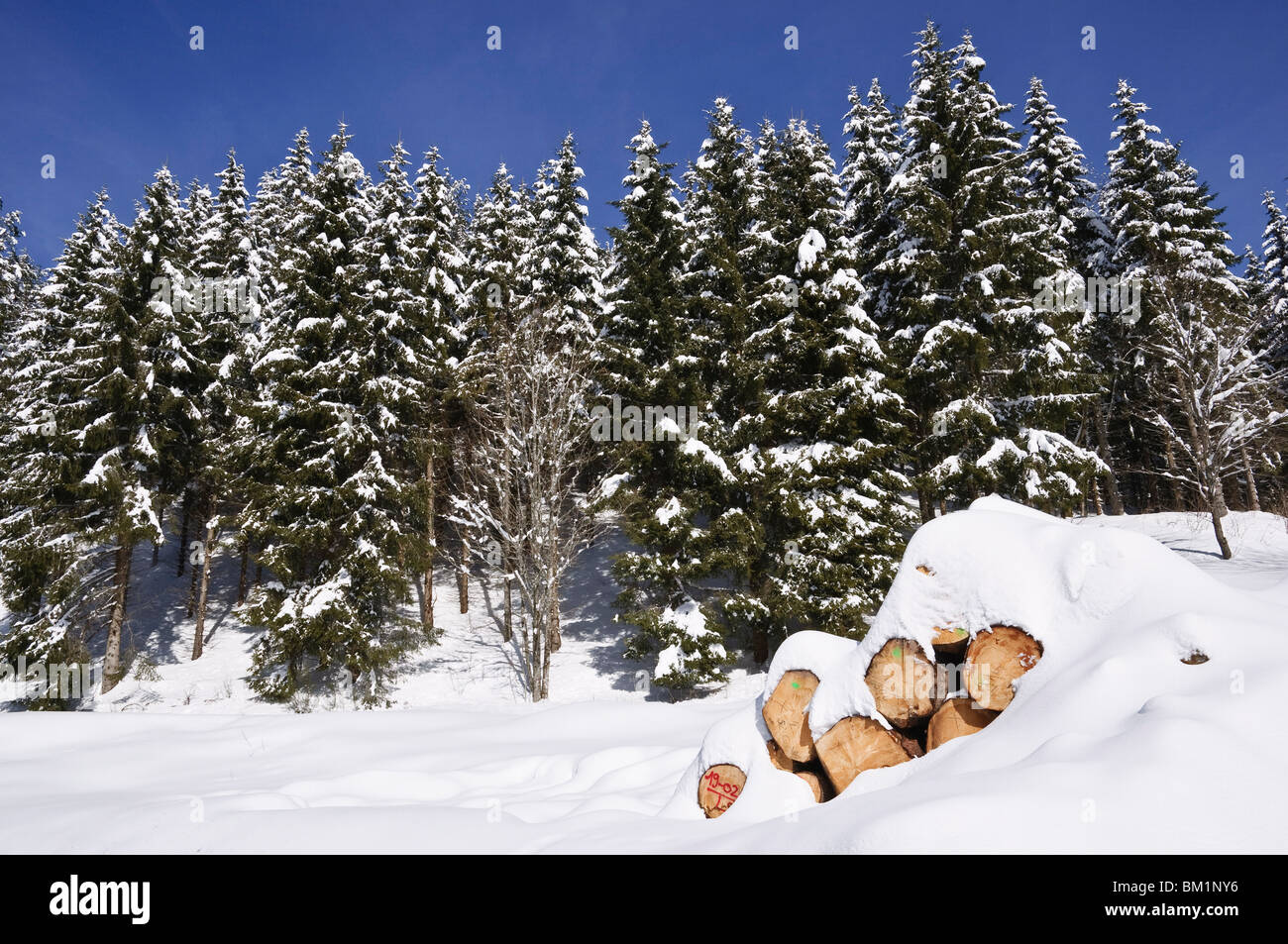 The Black Forest in winter, near Schoenwald, Baden-Wurttemberg, Germany, Europe Stock Photo
