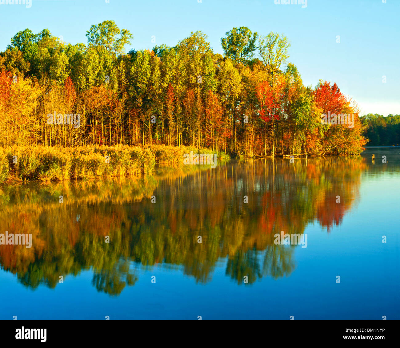 Lums pond state park hires stock photography and images Alamy