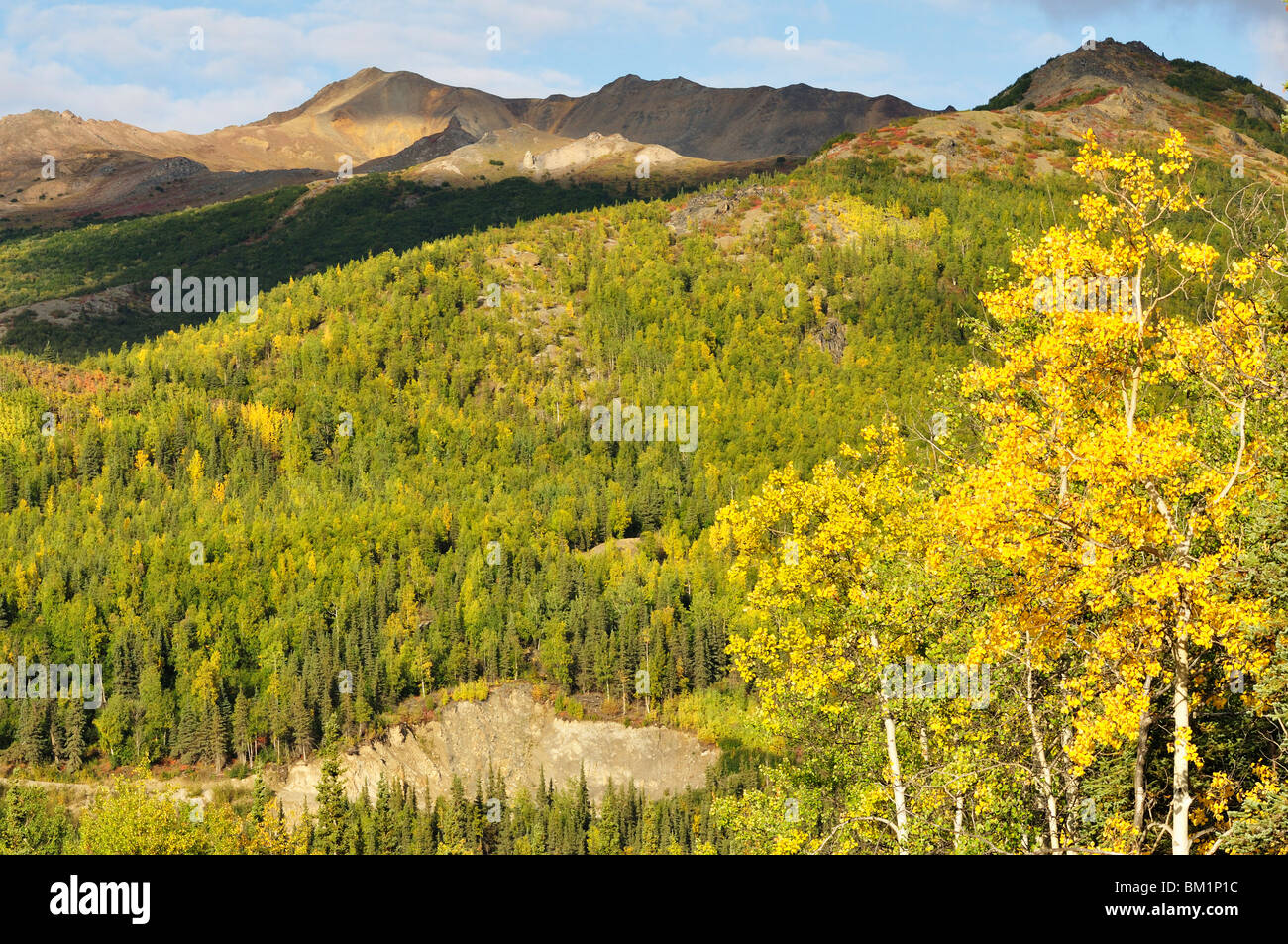 Alaska Range, Alaska, United States of America, North America Stock Photo