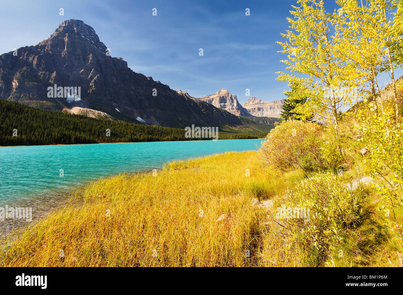 Waterfowl Lake and Mount Cephren, Banff National Park, UNESCO World Heritage Site, Rocky Mountains, Alberta, Canada Stock Photo