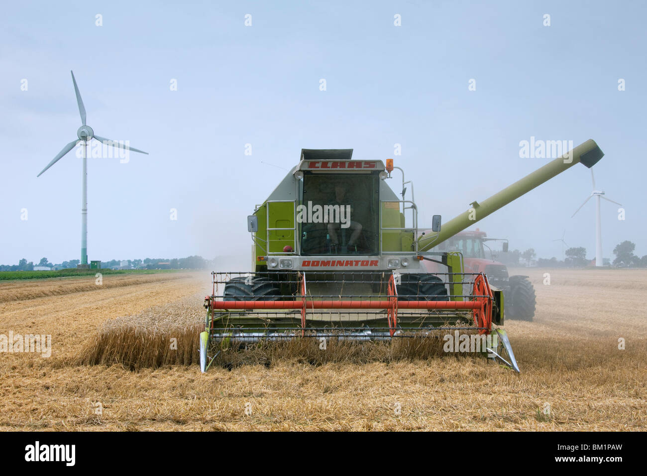 Combine harvester at work on cornfield, Germany Stock Photo